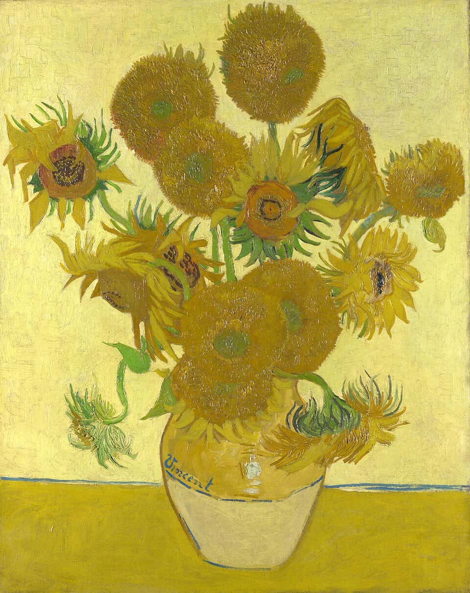 Sunflowers Study