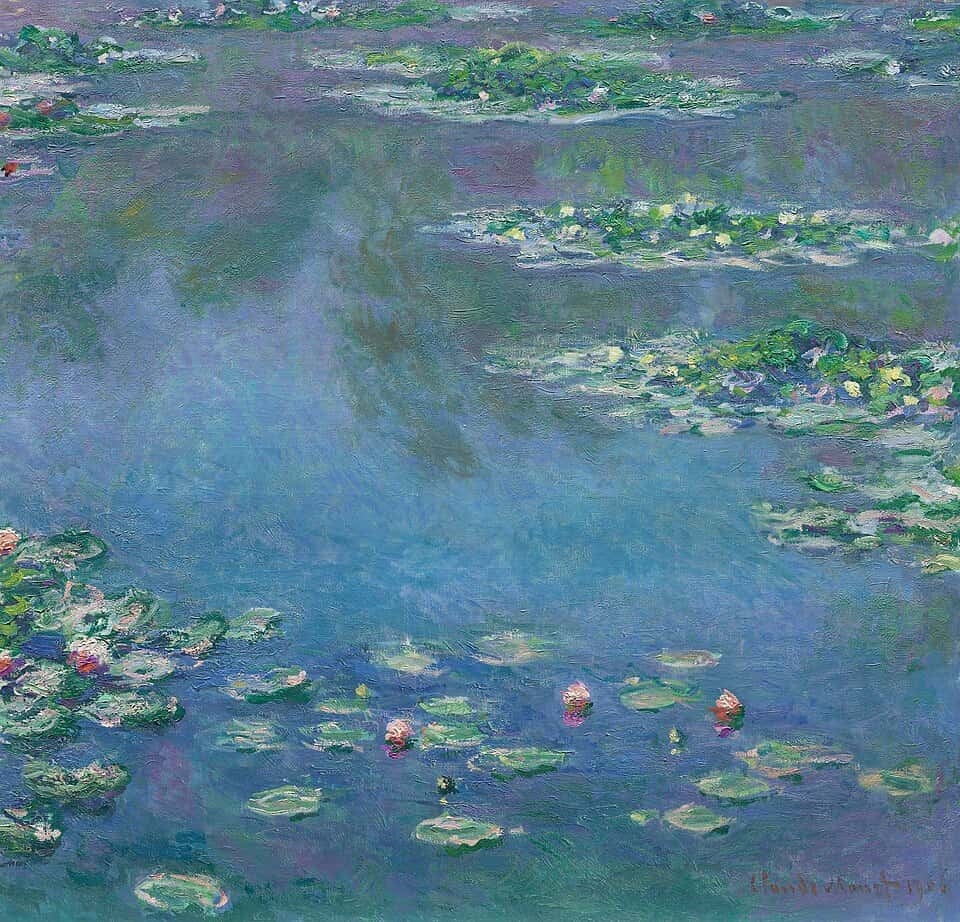 Water Lilies at Dusk